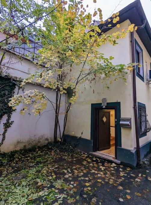 Maisonette Balcesco Brasov Luaran gambar